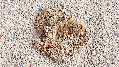 dust free cat litter uk.